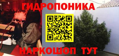 ГАЛЛЮЦИНОГЕННЫЕ ГРИБЫ Дубна