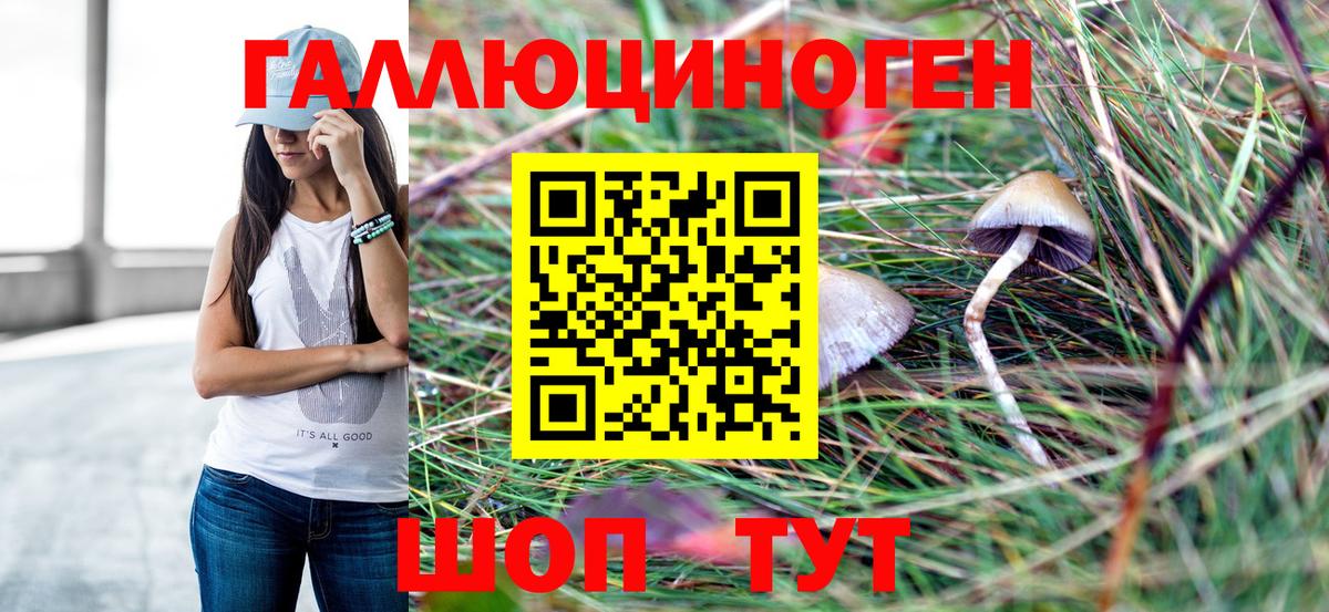 Псилоцибиновые грибы прущие грибы Великий Новгород